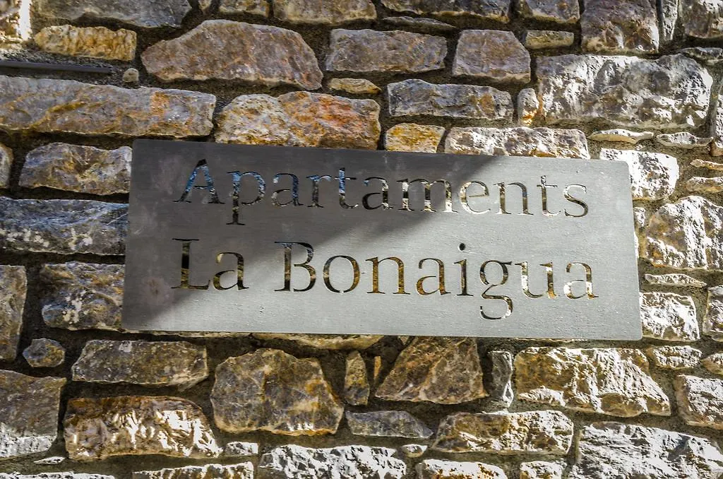 Apartaments La Bonaigua Valencia D'Aneu Apartment